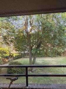a view of a tree from a window at Spacious New London Apartment! in London +5 photos