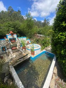 a pool of water with plants in a yard at Casa da Azenha Branca in Castelo do Neiva