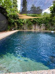 a swimming pool with a hammock in the water at Spacious Studio Apartment 3 with Pool in Alburquerque