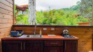 uma cozinha com pia e janela em Thoas Lodge em Coronado mais 102 fotografias