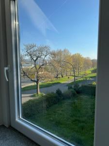 Zahrada ubytování Zimmer in Rheinfelden Basel + 5 fotografií