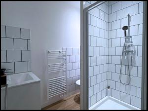 een witte badkamer met douche en toilet bij SQ Appart-ment in Saint-Quentin