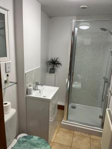 a bathroom with a shower and a sink at Elm Barn in Diss +18 photos