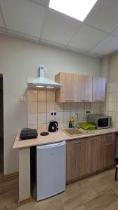 a kitchen with wooden cabinets and a counter top at Nad Zalewem 500-163-489 in Zegrze Południowe