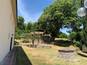 an outside view of a building with a tree at Podere Piccini with pool in Val d'Orcia-Tuscany in Piancastagnaio
