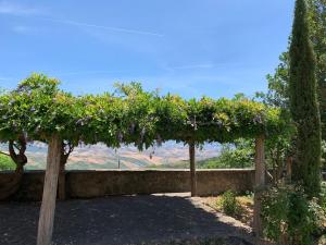 a garden with a pergola with purple flowers at Podere Piccini with pool in Val d'Orcia-Tuscany in Piancastagnaio