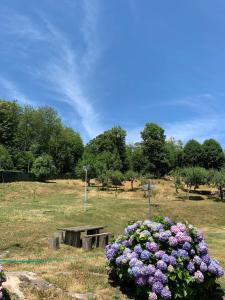 a park with a bench and flowers in a field at Podere Piccini with pool in Val d'Orcia-Tuscany in Piancastagnaio