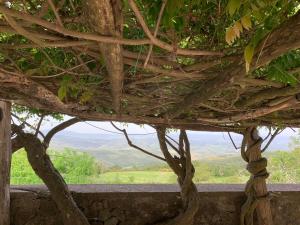 a view from the inside of a building with trees at Podere Piccini with pool in Val d'Orcia-Tuscany in Piancastagnaio