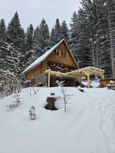 a log cabin in the snow with trees at Chata Zelený raj in Horná Lehota +18 photos