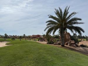 a palm tree in the middle of a green field at Ático Dúplex con Jacuzzi en Vera Playa y parking cubierto enorme in Vera