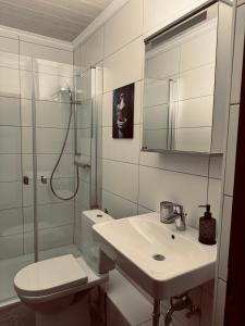 a bathroom with a toilet and a sink and a shower at Apartment 4 - Haus Heinke am Deich in Friedrichskoog +4 photos