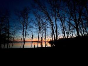 a group of trees sitting next to a body of water at Tucked Away on the Ridge - Quiet Fall Lake Retreat in Cadiz