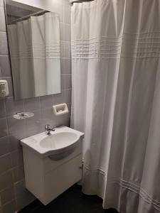 a bathroom with a sink and a shower curtain at Hermoso dpto en el corazón de Belgrano in Buenos Aires