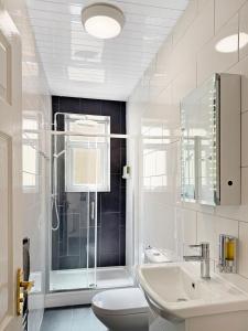 布莱克浦Granada Apartments Queen's Promenade的带淋浴、马桶和水槽的浴室