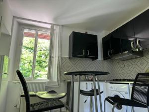a kitchen with black cabinets and a table and chairs at Le Paviot in Voiron