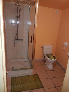 a bathroom with a shower and a toilet at La Chambre du Bout du Monde in Bouillac