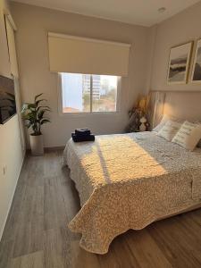 une chambre avec un lit et une fenêtre dans l'établissement Apartamento Zona Paseo La Galera, à Asuncion 20 autres photos