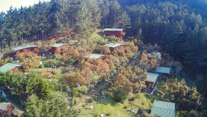 a group of houses on a hill with trees at Alla Arriba in Las Cruces