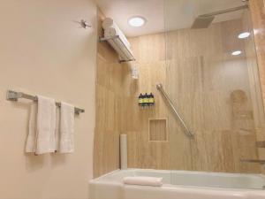 a bathroom with a shower and a tub at Fiesta Americana Reforma in Mexico City