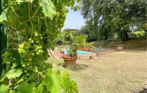 Zahrada ubytování Gorgeous Home In Ficulle With Wifi + 22 fotografií