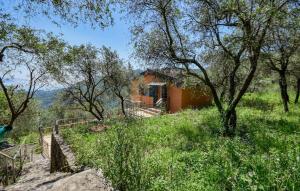 a house in the middle of a field with trees at La Casetta Tra Cielo E Mare in San Lorenzo della Costa