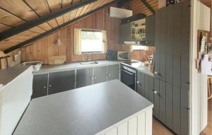 una cucina con piano di lavoro in una casetta minuscola di 3 Bedroom Amazing Home In Ringkøbing a Ringkøbing