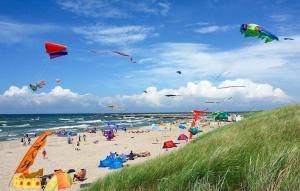 a group of people on a beach flying kites at Beautiful Home In Przewloka in Przewłoka +12 photos