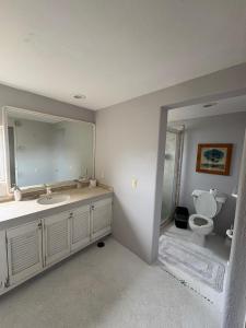 ein Badezimmer mit Toilette, Waschbecken und Spiegel in der Unterkunft Exclusivo Alojamiento en Real diamante in Acapulco