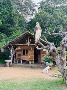 Hosté ubytování Leopardbay Cabanas Arugambay