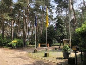 Aed väljaspool majutusasutust Tranquil pine forest chalet in Antwerp Kempen
