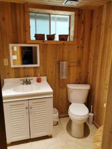 un baño con inodoro y lavabo en Cobblestone Waterfront cottage 4 Bedrooms, 2 Bathrooms, Sauna at Lion Head, en Lions Head 22 fotos más