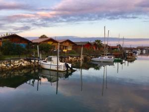 a group of boats docked in a marina with houses at Villa Miroir d'O - Piscine chauffée in Gujan-Mestras