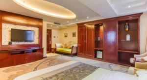 TV a/nebo společenská místnost v ubytování Changchun Global Hotel + 263 fotografií