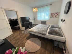 Et tv og/eller underholdning på TENNIS LIFE ŠUMPERK + 8 billeder