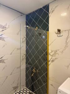 Bilik mandi di Aden Suit Apart Otel