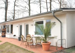 ein Haus mit einer Terrasse mit Stühlen und einer Pflanze in der Unterkunft Strandidyll in Ückeritz