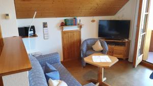 a living room with a blue couch and a tv at Fewo mit Balkon und herrlicher Fernsicht in Wittenschwand