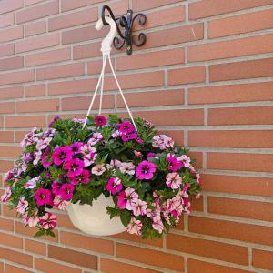 Gallery image of Ferienwohnung Hölscher in Ascheberg