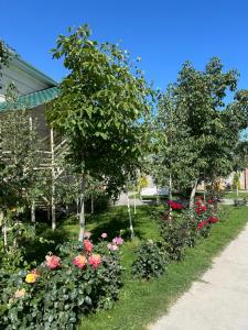 Κήπος έξω από το Asanova House