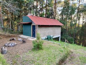 a small building with a red roof in a yard at Cabaña en el bosque in Camotepec