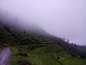 ナイニタールにあるThe Himalayan meadowsの未舗装道路のある霧のかかった丘の中腹