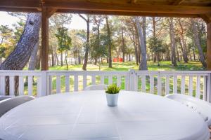 una mesa blanca con una maceta en un porche en Mobile homes Pine Sea Banjole, en Banjole