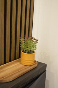 Fotografie z fotogalerie ubytování MSF Apartment Green Wolf v destinaci Kassel