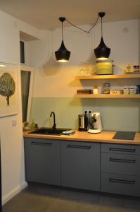 Η κουζίνα ή μικρή κουζίνα στο MSF Apartment Green Wolf