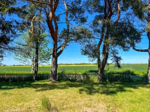 a fence with trees and a field in the background at Ferienwohnung Wohlfühl-Anker in Neuhof
