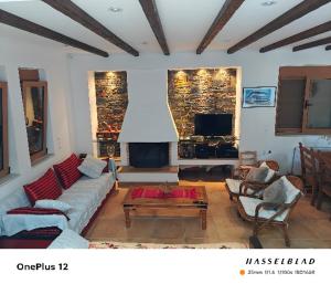 a living room with a couch and a fireplace at Beach Villa Claire in Loukísia