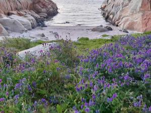 Billede fra billedgalleriet på 9 person holiday home in TJODALYNG-By Traum i Kjerringvik