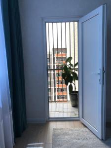 a door leading to a balcony with a potted plant at comfortable 1 bedroom apartment near centre of the city in Dushanbe