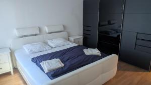 Postel nebo postele na pokoji v ubytování Luxury Apartment in very Good Location near Basel City