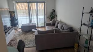Posezení v ubytování Luxury Apartment in very Good Location near Basel City